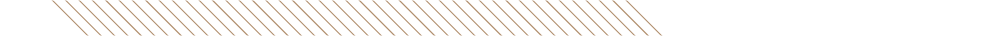 NAD2020_AnnouncementGraphics_-02 NAD2020_AnnouncementGraphics_-02